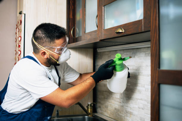  West Monroe, MI Pest Control Pros