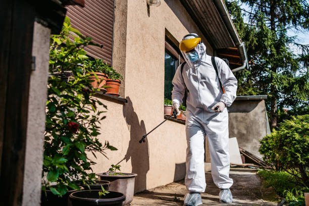 Flea Control Services in West Monroe, MI