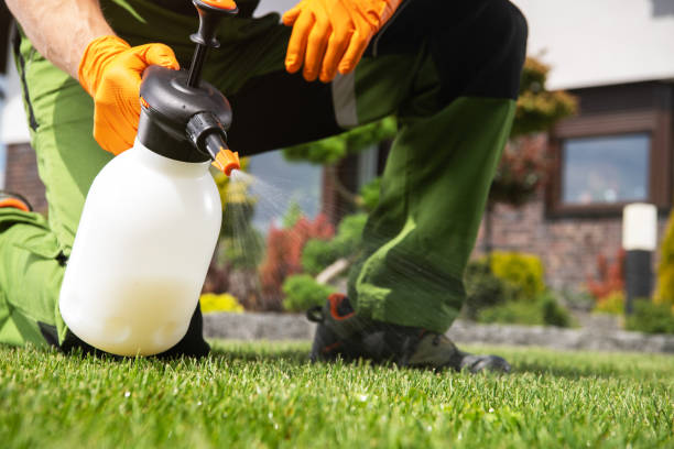 Best Pest Prevention Services  in West Monroe, MI