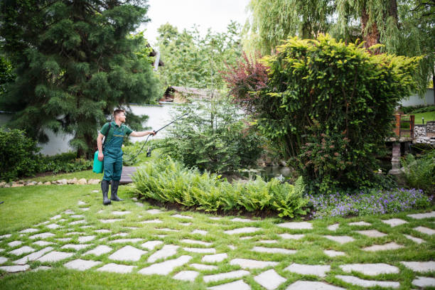 Best Affordable Pest Control Services  in West Monroe, MI