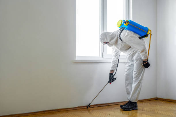 Best Mosquito Control Services  in West Monroe, MI