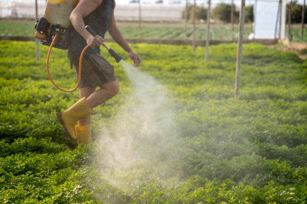 Best Local Pest Control Services  in West Monroe, MI