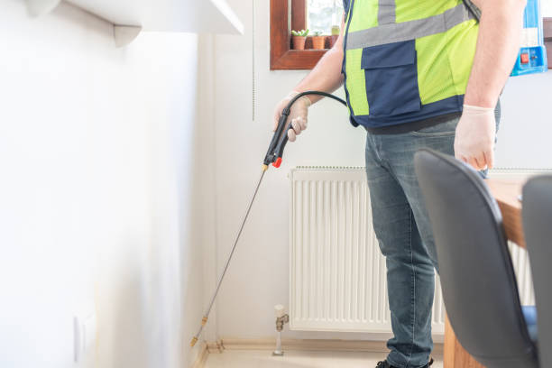 Wasp Removal Services in West Monroe, MI