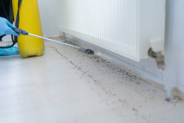 Best Pest Inspection Near Me  in West Monroe, MI